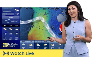 The Weather Network live streaming for the GTA